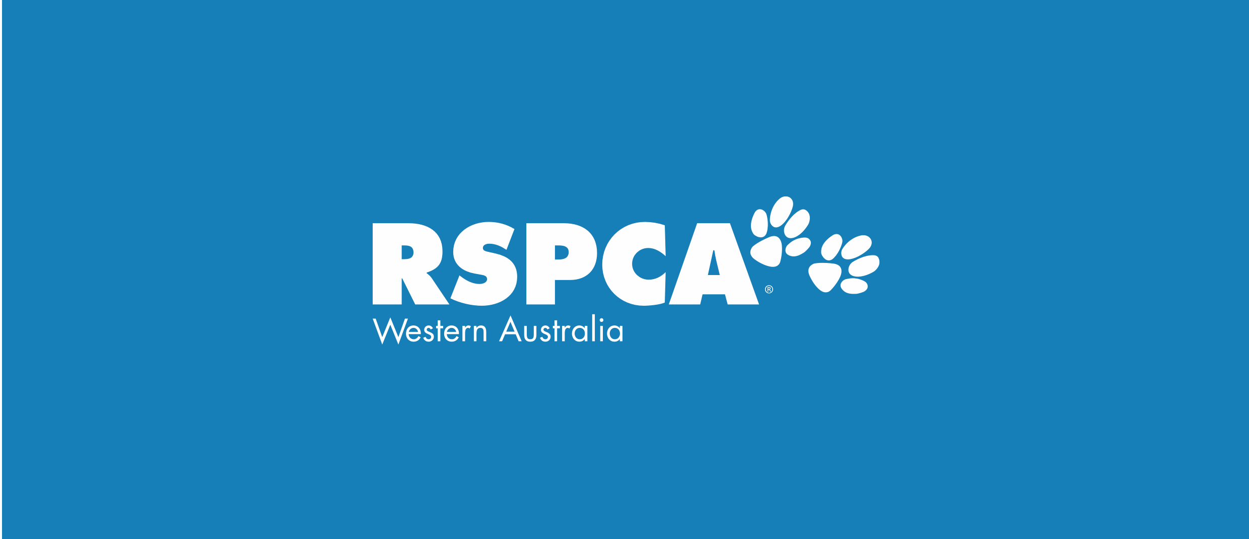 RSPCA Western Australia Puppy dog
